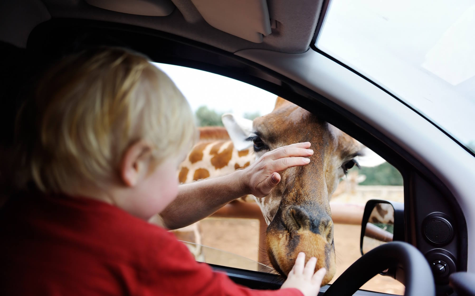 media.Parco_Safari_Ravenna_vicino_al_Club_Family_Hotel_Cervia_Village