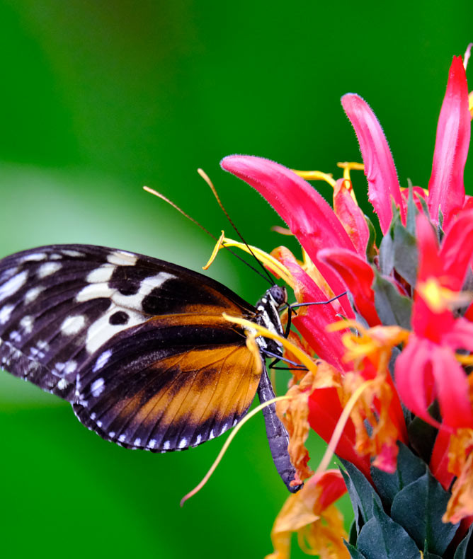 media.Gallery-Cesenatico-2-CFH