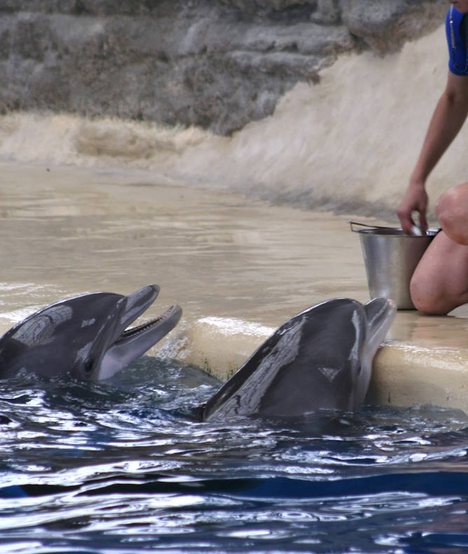 media.Club_Family_Hotel_parchi_divertimento_gratis_Oltremare_668x790_ev_1